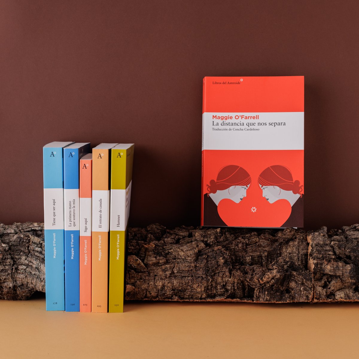 Melancólica, sensorial, intimista. 

O’Farrell tiene una capacidad fabuladora superlativa.

Más recomendaciones navideñas 🌟👇
bit.ly/4fASw1b