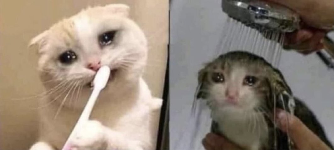 - qué semana tan pesada fue..
- aun es miércoles