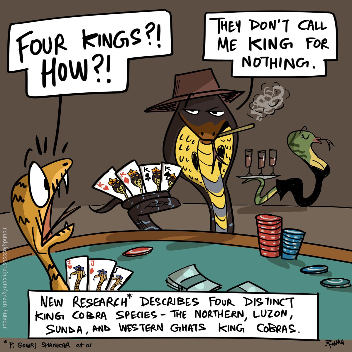 Roundglass Sustain (@rgsustain1) on Twitter photo New research describes four distinct Cobra species: the Northern, Luzon, Sunda, and Western Ghats King Cobras.
By Green Humour <a href="/thetoonguy/">Green Humour</a>
.
.
.
#greenhumour #kingcobra #cobras #snakes #westernghat #luzon #sunda #thenorthern New research describes four distinct Cobra species: the Northern, Luzon, Sunda, and Western Ghats King Cobras.
By Green Humour <a href="/thetoonguy/">Green Humour</a>
.
.
.
#greenhumour #kingcobra #cobras #snakes #westernghat #luzon #sunda #thenorthern