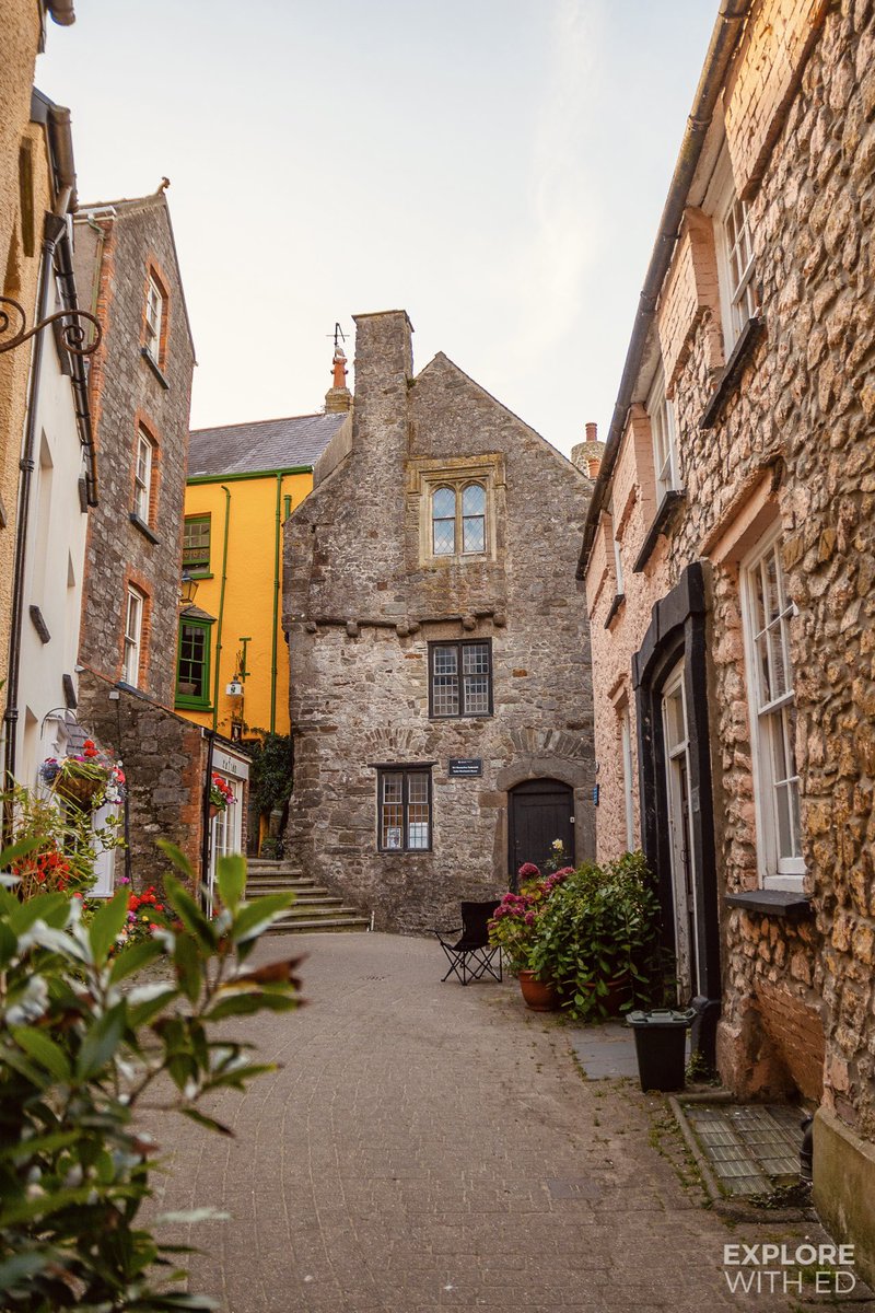 Explore With Ed tweet media