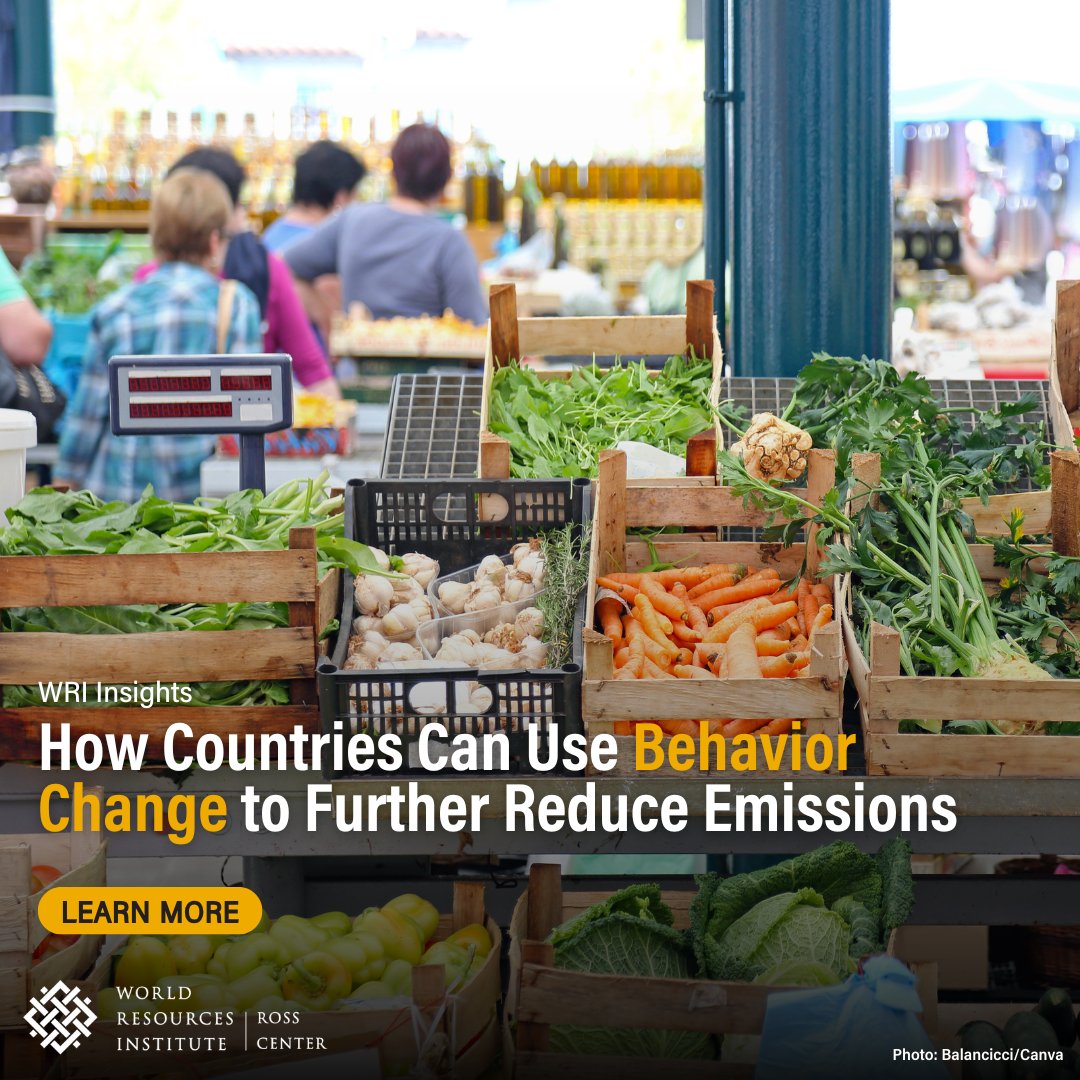 WRIRossCities's tweet image. 🚗 80% of top emitting nations promote EVs
🚌 75% push public transport
🏠 60% target home energy use

But only 1 country promotes sustainable diets and 0 address air travel - ignoring key #BehaviorChanges that could unlock deeper emissions cuts.

Details: bit.ly/4eHqu3G