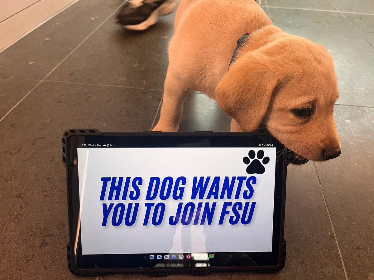 🐶 You see... even the dogs know that anyone working in Financial Services in ROI, NI or GB are Better with FSU.

If you work in Financial Services, Fintech or Tech Sector then your are Better with FSU - fsunion.org/fsu/join