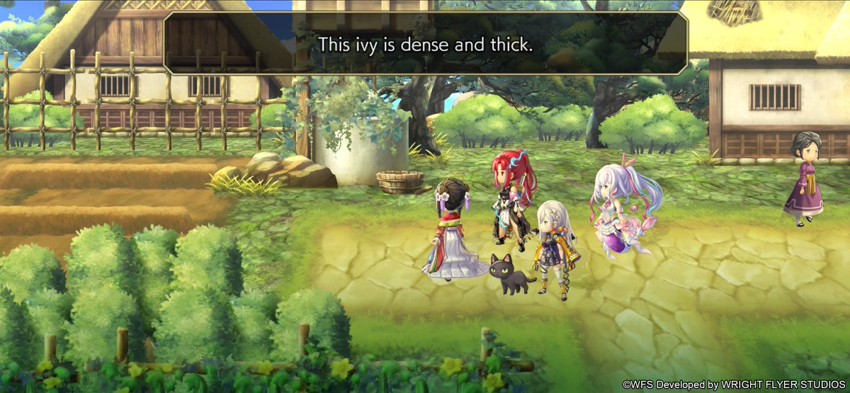 AnotherEdenRPG's tweet image. Nothing sets off red flags of an unwelcoming place more, specifically in Another Eden, than a town with inaccessible wells.

#AnotherEden