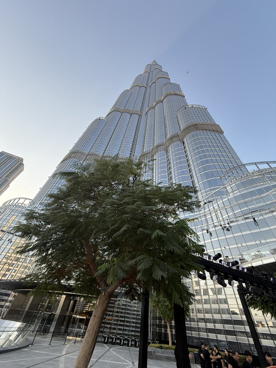 Jon Noble tweet media