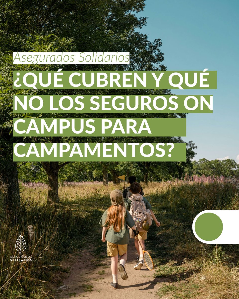 AseguradoSolidarios tweet media