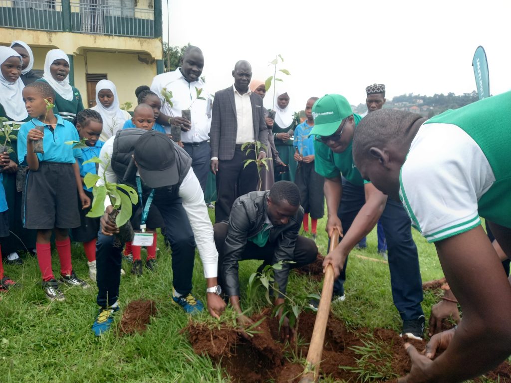 My Tree Initiative Organization (@mytreeuganda) on Twitter photo We'd like to appreciate <a href="/UAPOldMutualUg/">UAP Old Mutual Uganda</a> for joining us on our mission to combat climate change and promoting environmental stewardship, through championing the sustainable growing of 10,000 trees in 10 schools across Uganda.
#UAPOldMutualForTrees #UAPOldMutualForSchools We'd like to appreciate <a href="/UAPOldMutualUg/">UAP Old Mutual Uganda</a> for joining us on our mission to combat climate change and promoting environmental stewardship, through championing the sustainable growing of 10,000 trees in 10 schools across Uganda.
#UAPOldMutualForTrees #UAPOldMutualForSchools