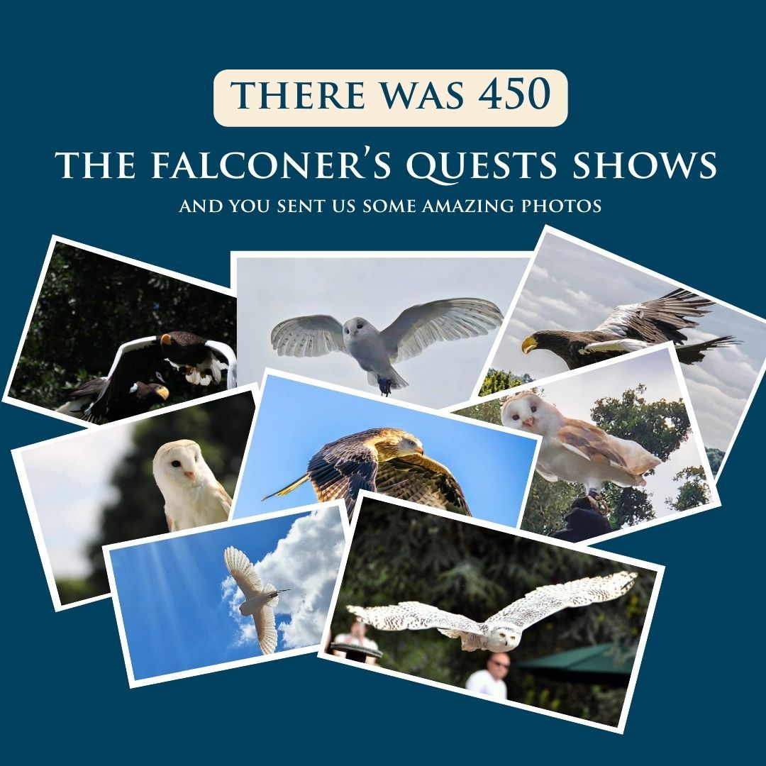 Warwick Castle wrapped 2024 🤩

What is your favourite statistic on this list?