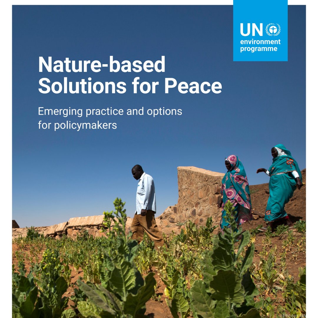As interest in solutions for addressing climate &amp; environmental challenges continues to grow, UNEP’s newly launched #NbS4Peace report highlights the additional potential of nature-based solutions for building more resilient, &amp; peaceful societies.

Info: wedocs.unep.org/20.500.11822/4…