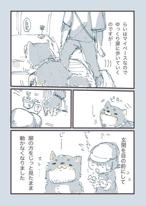 玄関前で…(2/2)

#漫画が読めるハシュタグ  #柴犬との暮らし 