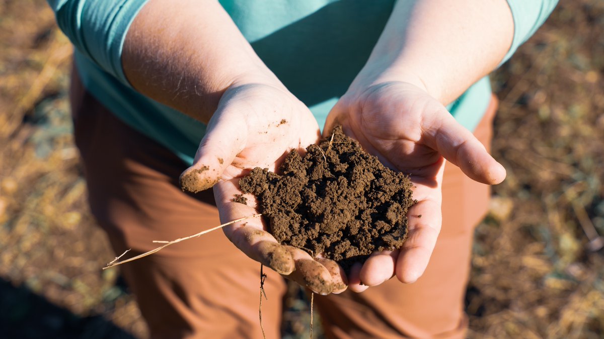 Healthy soil does more than grow plants – it helps with heat mitigation and supports biodiversity! 🌱

What if we told you we could help improve soil health and conserve wetland habitats? Stay tuned for tomorrow’s exciting program reveal!

#WorldSoilDay