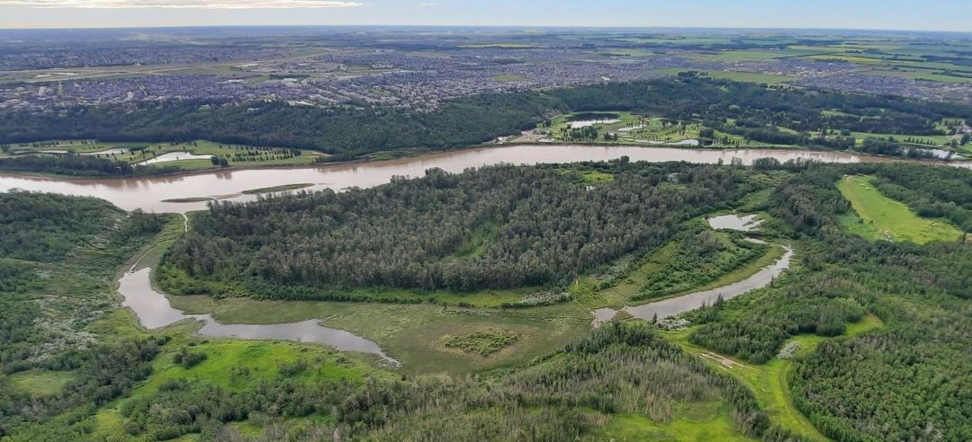 Support our work on Big Island provincial park, national urban park, YEG river valley by donating at edmontonrivervalley.org (Kyle Schole photo) <a href="/KyleSchole/">Kyle Schole 🍁🛶</a> <a href="/RockyFeroe/">Raquel Feroe</a> <a href="/LindaDuncanAB/">Linda Duncan</a> <a href="/YegTrails/">Edmonton Trails</a> <a href="/DustinBajer/">Dustin Bajer (He/Him)</a> <a href="/wildbirdgs/">jaynnecarre</a> <a href="/YEGRiverValley/">YEG River Valley</a>