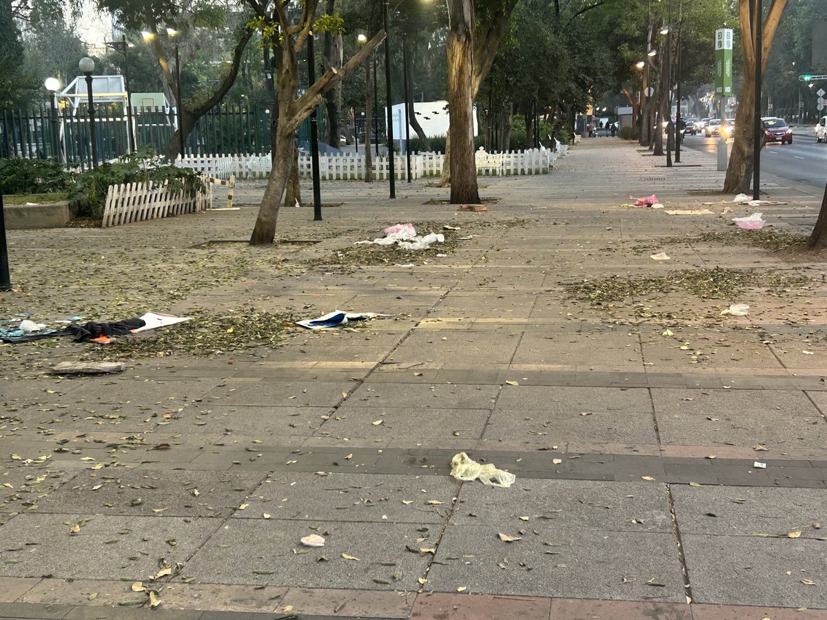 Así dejaron el #ParquePushkin los puestos ambulantes que recibieron permiso para instalarse unas semanas. ⁦<a href="/AlcCuauhtemocMx/">Alcaldía Cuauhtémoc</a>⁩