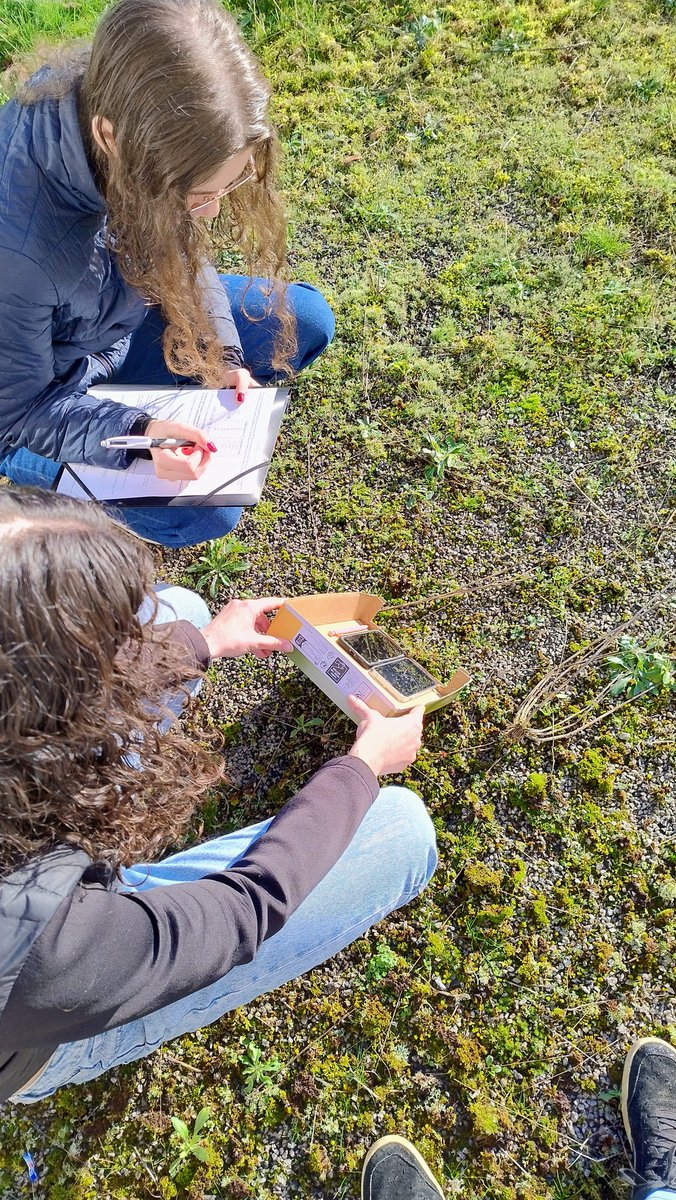 Qui a dit qu'il n'y avait pas de soleil en Gâtine 😉?! Une occasion trop belle ce matin pour ne pas la saisir en enseignement scientifique de 1ère.
Mesures d'éclairement et d'angles d'incidence du rayonnement solaire avec son  smartphone et l'appli Phyphox.