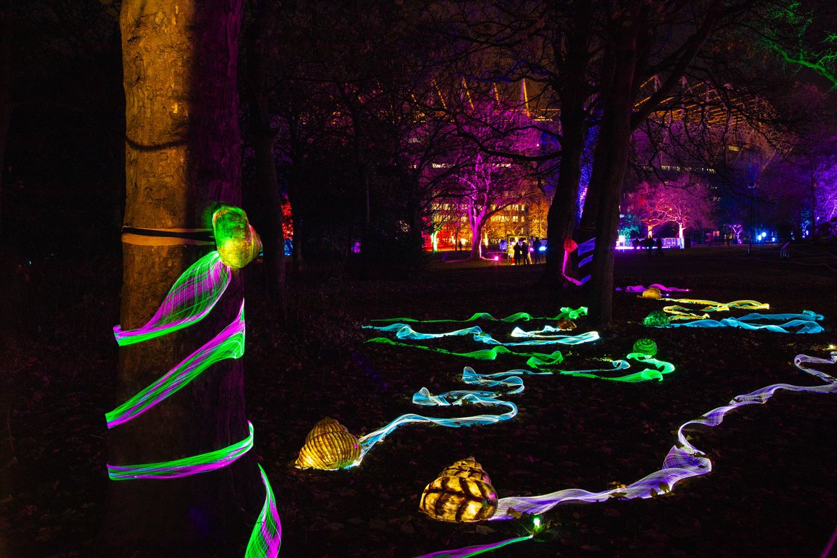 All of our incredible installations are in full glow, including the wonderful ‘Psychedelic Snails’ - Made by South Shields’ own Stevie Thompson.

This fibre-optic installation mimics the intricate underground networks of fungi, pulsing through the landscape in a rhythmic way ✨🐌