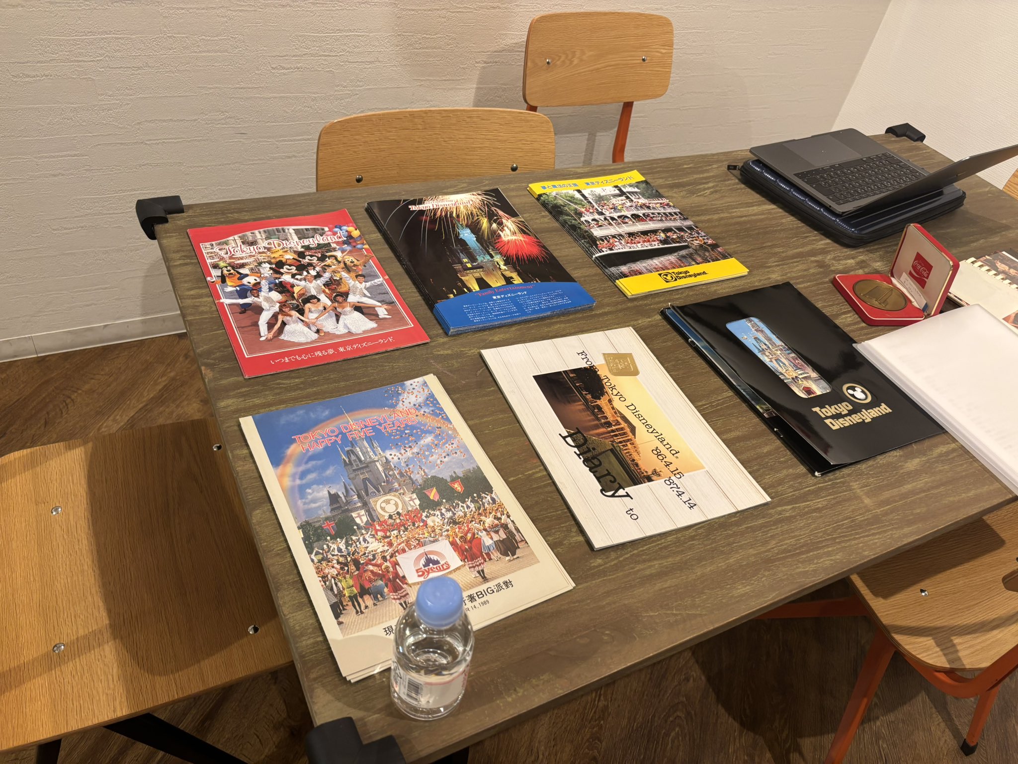 【希少！】人を集める なぜ東京ディズニーランドが\