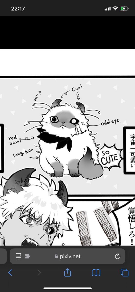 普段のげゅ 