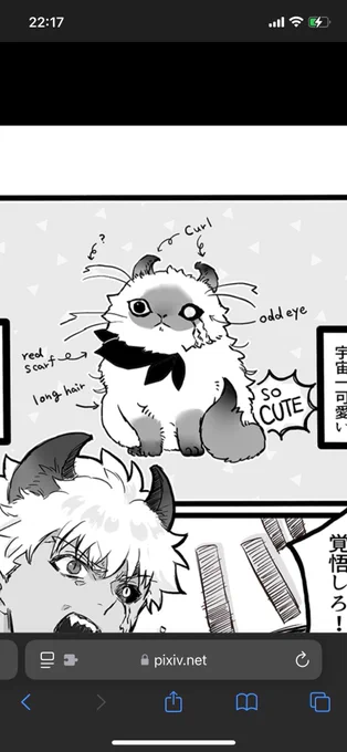 普段のげゅ 