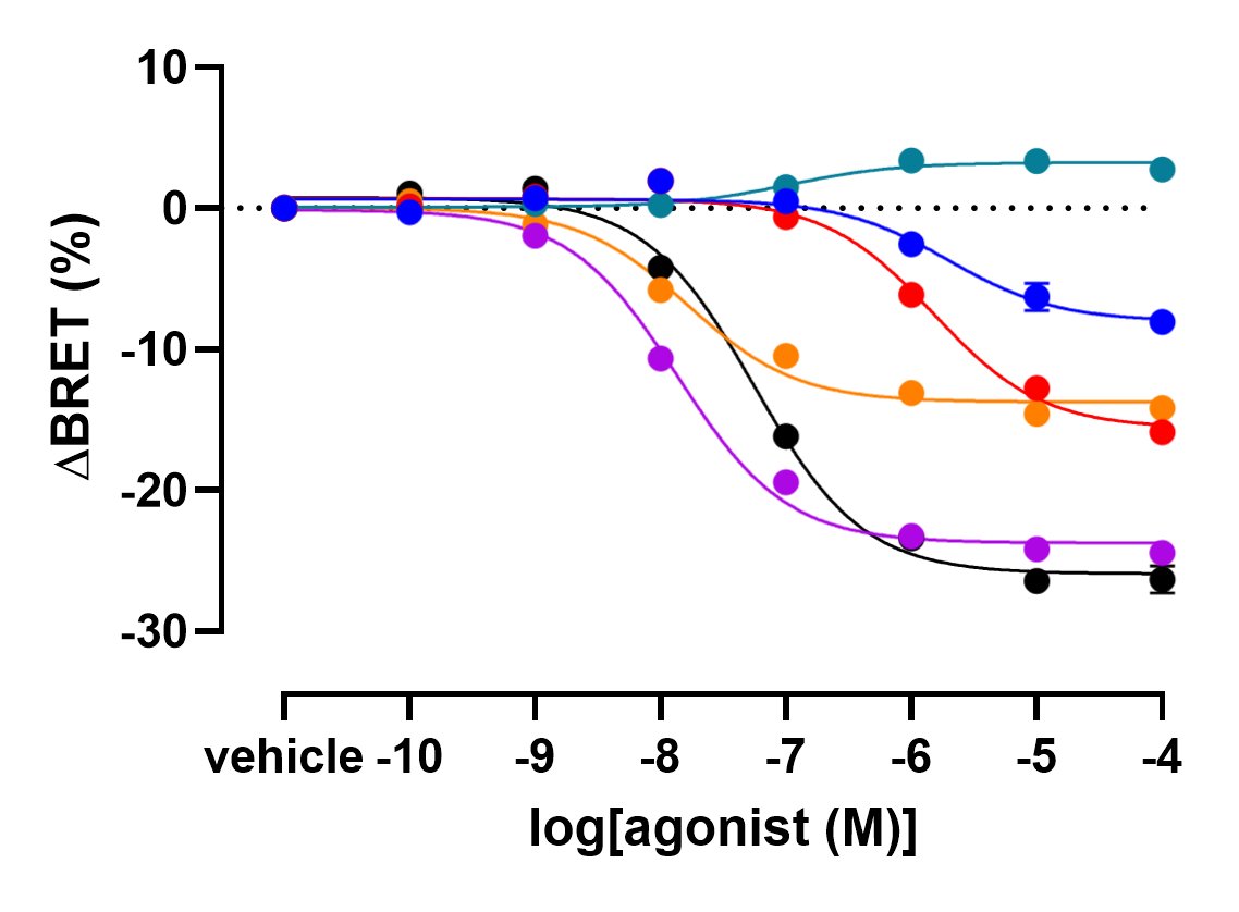 HSchihada's tweet image. New G protein #biosensors #GCASE in the pipeline 😎
#newPI #GPCR #signaling #Gproteins