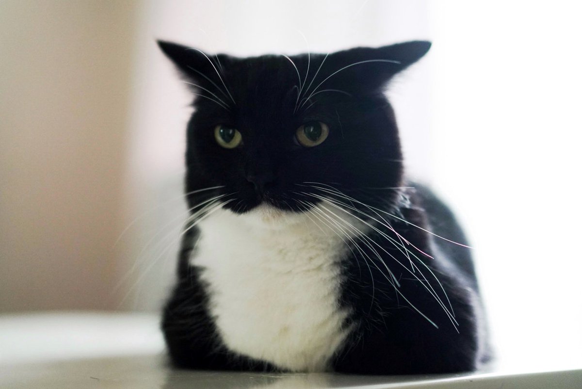 ぼくは強くなりすぎてしまった…

I have become too strong…