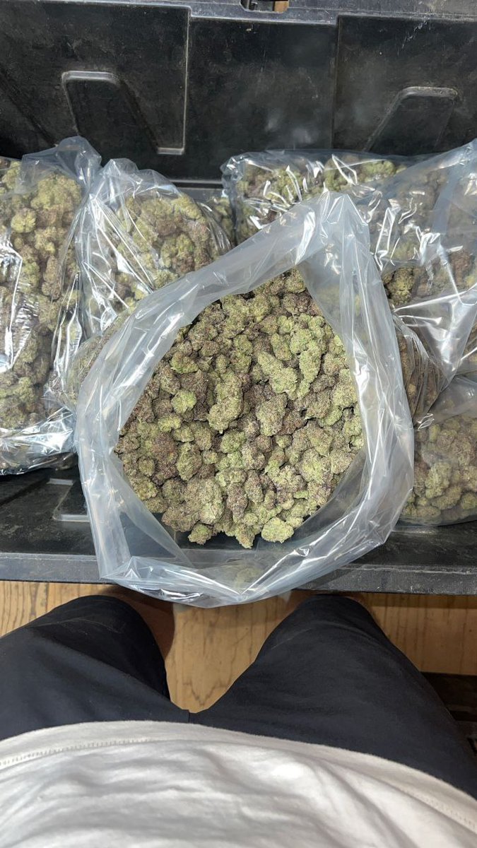 J-Alt @J252629 - Twitter Profile | Sotwe