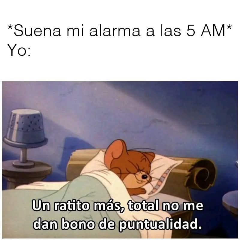 🙋‍♂️🙋‍♂️