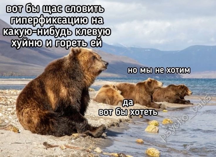 вот бы хотеть