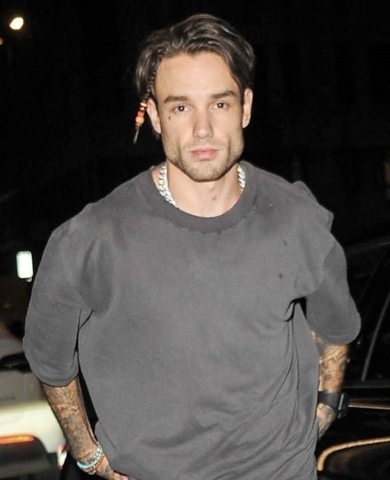 best of liam payne tweet media