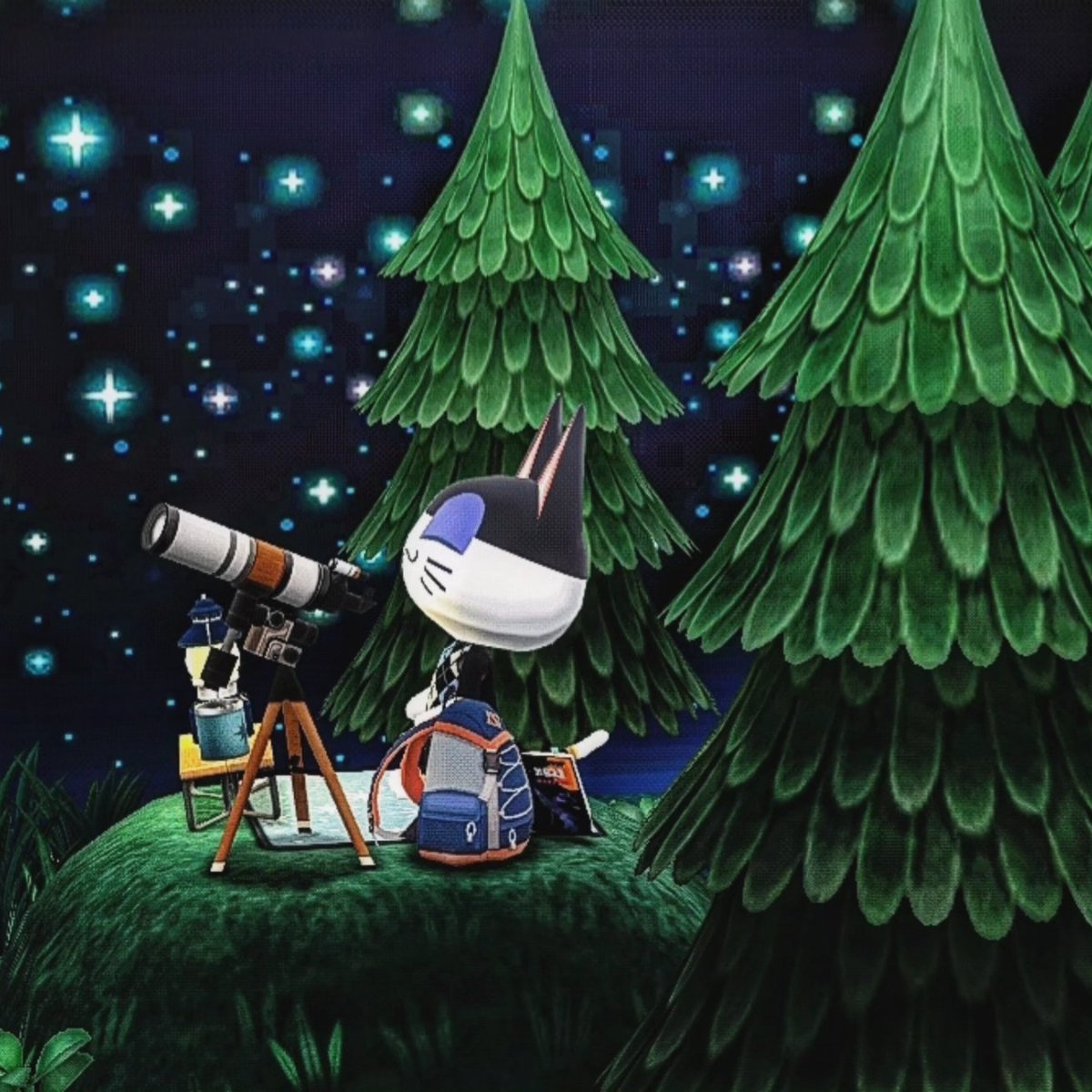 tsumupoke's tweet photo. ✩.*˚天体観測✩.*˚
 #ポケ森   #ポケ森レイアウト #ポケットキャンプコンプリート  #PocketCampComplete https://t.co/o1mqsLRVaJ