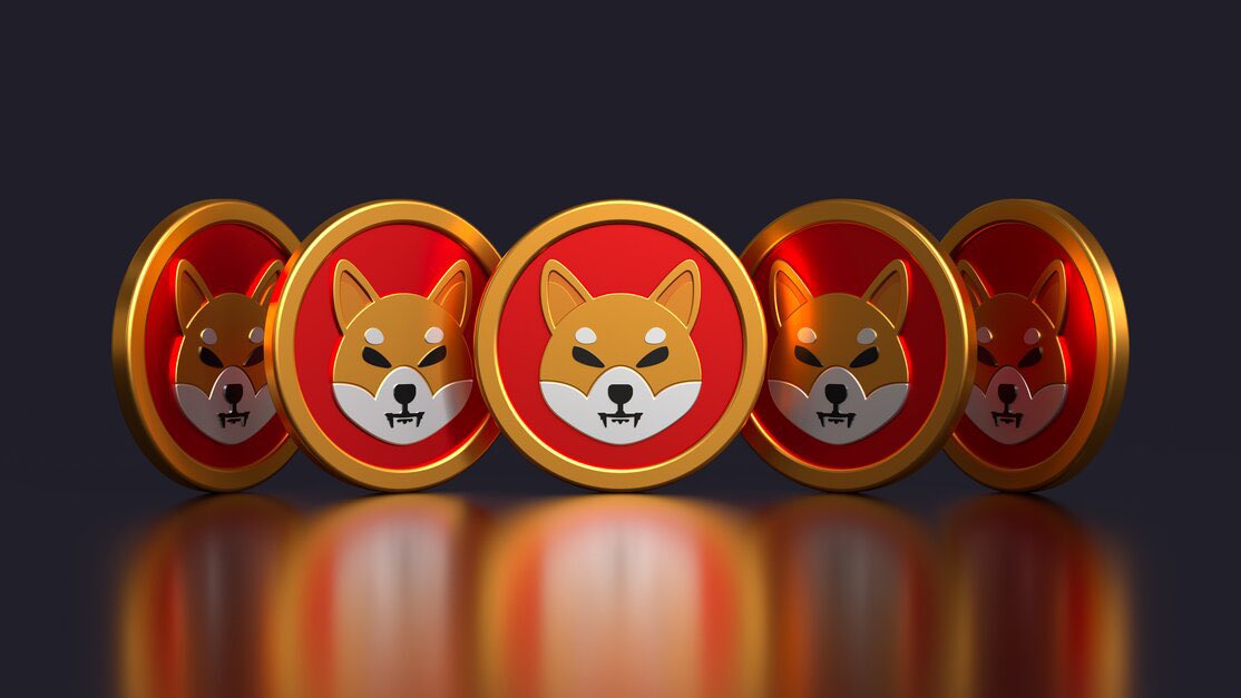 cryptoshibs's tweet photo. If I gave you 100,000,000 #shibainu would you #HODL?  🚀
@Shibtoken #SHIB https://t.co/qi6rgYpTae