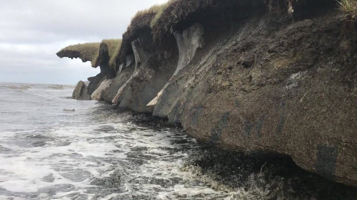 CEN Uni Hamburg @cenunihh.bsky.social (@cenunihh) on Twitter photo 🔔 A study like a wake-up call: Combined climate hazards – coastal erosion, sea level rise & permafrost thaw – could push Alaska's coast inland by 2100, releasing 8–11x more carbon. A shift for Arctic resilience is urgently needed. #CLICCS <a href="/WHOI/">Woods Hole Oceanographic Institution (WHOI)</a> 🧪 Paper: pnas.org/doi/full/10.10… 🔔 A study like a wake-up call: Combined climate hazards – coastal erosion, sea level rise & permafrost thaw – could push Alaska's coast inland by 2100, releasing 8–11x more carbon. A shift for Arctic resilience is urgently needed. #CLICCS <a href="/WHOI/">Woods Hole Oceanographic Institution (WHOI)</a> 🧪 Paper: pnas.org/doi/full/10.10…