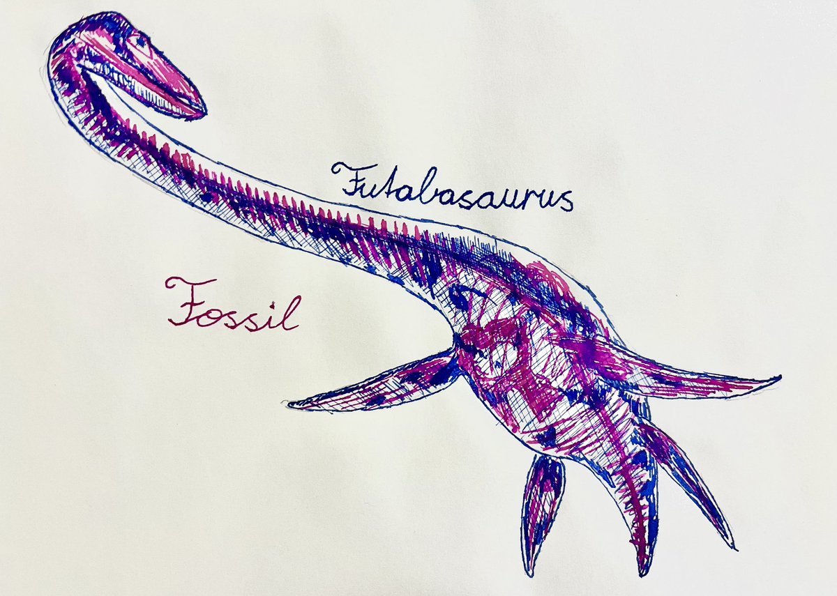 noelani703's tweet photo. #Advent-calendar
大好きな #dinosaurs 🦕🦖を描いて載せていく
4日目 #Futabasaurus
今日は✒️インクのみ
別名フタバスズキリュウは、福島県に発見されたエラスモサウルスの仲間
Also known as F. Suzukii was found in Japan in Fukushima and is in the family of Elasmosauridae https://t.co/DJo04oMNYG
