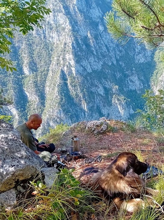 ☘Kelly Kettle tweet media