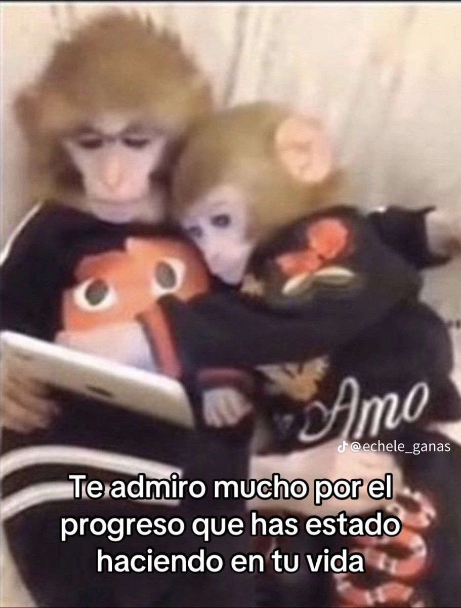 vazquezkenyaa's tweet photo. Mientras esté viva siempre demostraré mi amor a través de los monkeys https://t.co/7LsPyUZKlY
