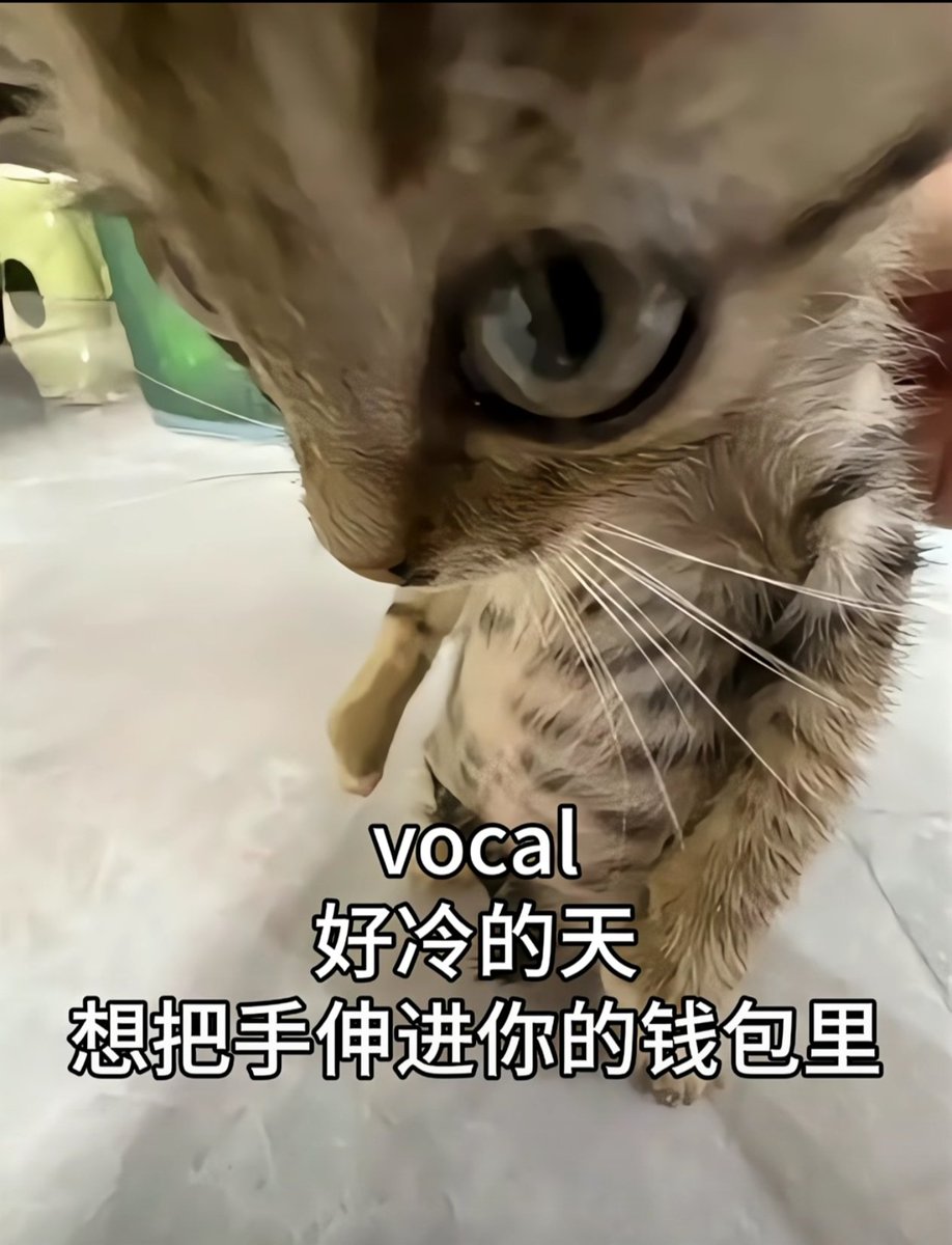 Timmy_caitvi's tweet photo. cat vi
#Caitvi #Vi https://t.co/PULadpESWr