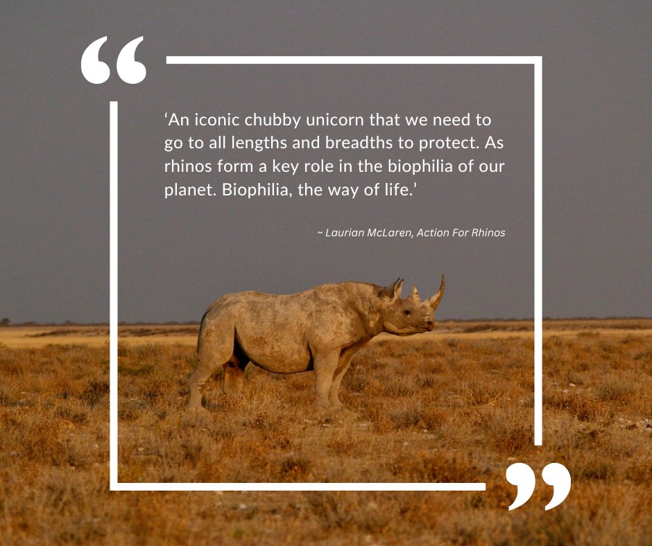 Action For Rhinos tweet media