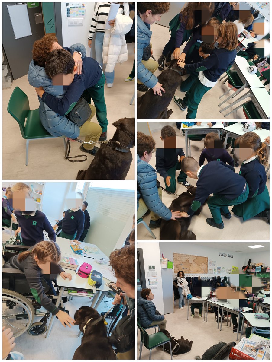 Aprendemos  sobre los perros guía. 🦮 <a href="/HBSTORREJON/">Humanitas Torrejón</a>