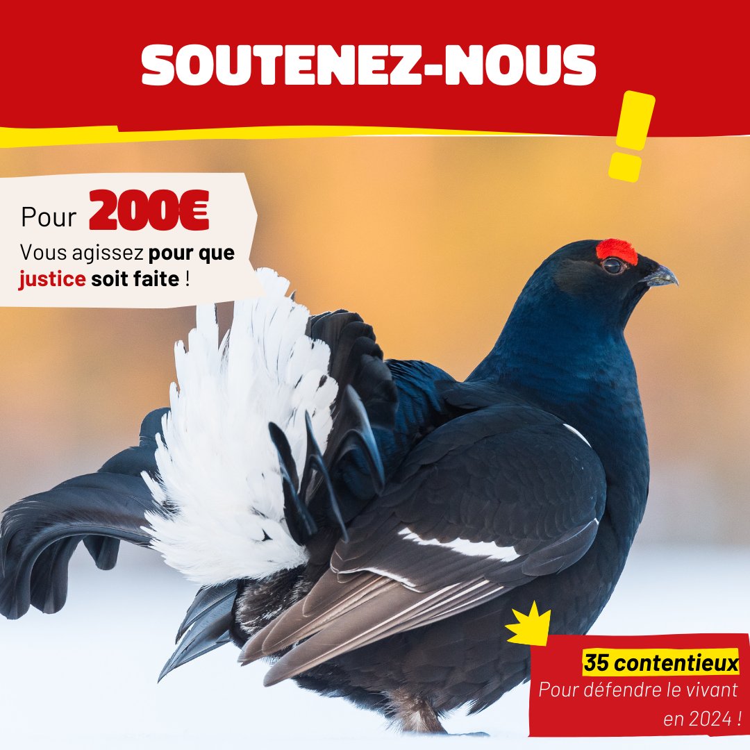 📦🦋 FNE Provence-Alpes-côte d'Azur tweet media