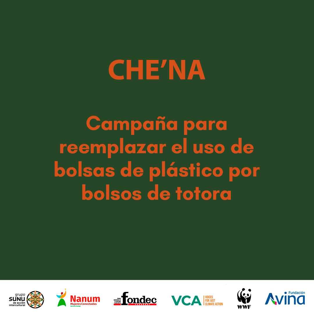 Grupo Sunu (@sunuorg) on Twitter photo 🌱La totora es una especie de junco que crece en lagos y humedales.
🧺Las artesanas Qom proponen una alternativa al uso de plástico en los supermercados a través de sus cestos de totora.
 
👩💻Conocé más en: redcreadoresdigitales.com 🌱La totora es una especie de junco que crece en lagos y humedales.
🧺Las artesanas Qom proponen una alternativa al uso de plástico en los supermercados a través de sus cestos de totora.
 
👩💻Conocé más en: redcreadoresdigitales.com