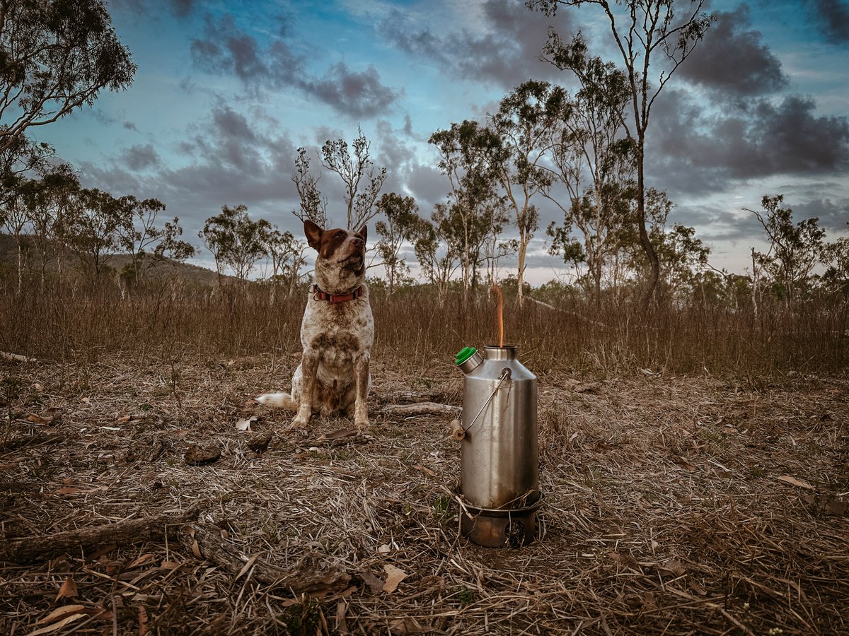 ☘Kelly Kettle tweet media