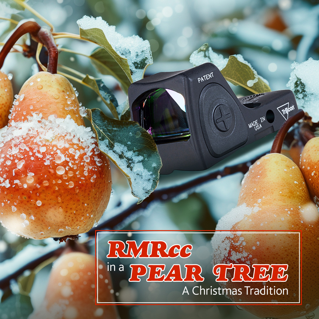 Trijicon's tweet photo. Elf on the Shelf? I think you meant RMRcc in a pear tree.

#Trijicon #RMRcc https://t.co/Vb8q5TdVX4