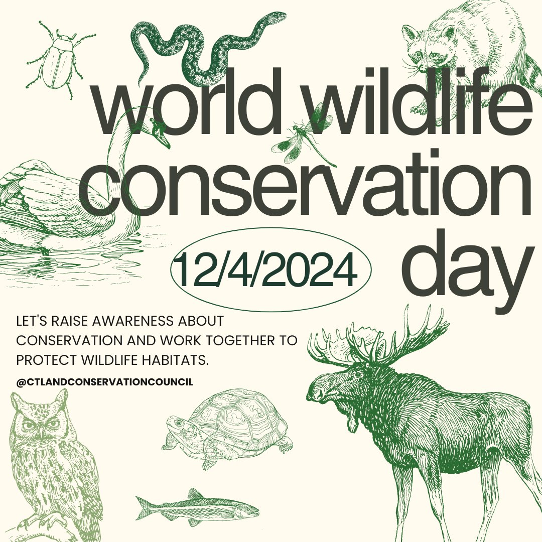 At CLCC, we recognize the critical role that healthy ecosystems play in sustaining wildlife and supporting biodiversity. Join us in celebrating Wildlife Conservation Day and reaffirming our commitment to protecting the incredible species that call Connecticut home.