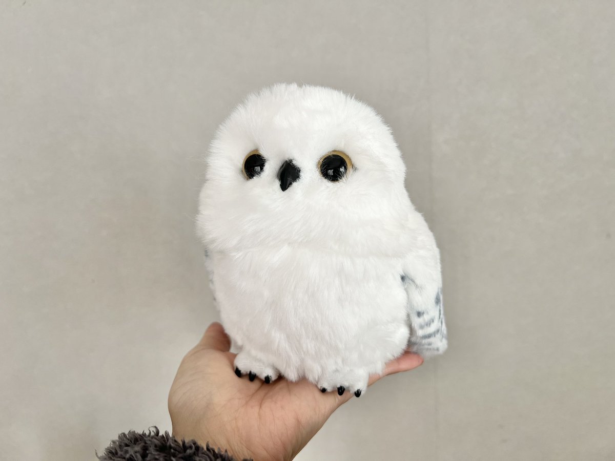 USJで買い損ねて心残りだった、肩乗りの動いて鳴くヘドウィグを買っ