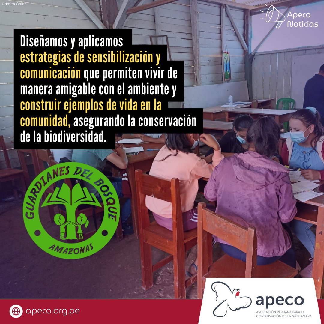 La estrategia educativa "Guardianes del Bosque", es una iniciativa pionera que demuestra cómo la educación puede ser una herramienta poderosa para la conservación de la biodiversidad y el desarrollo sostenible. 🌳🧵1/3