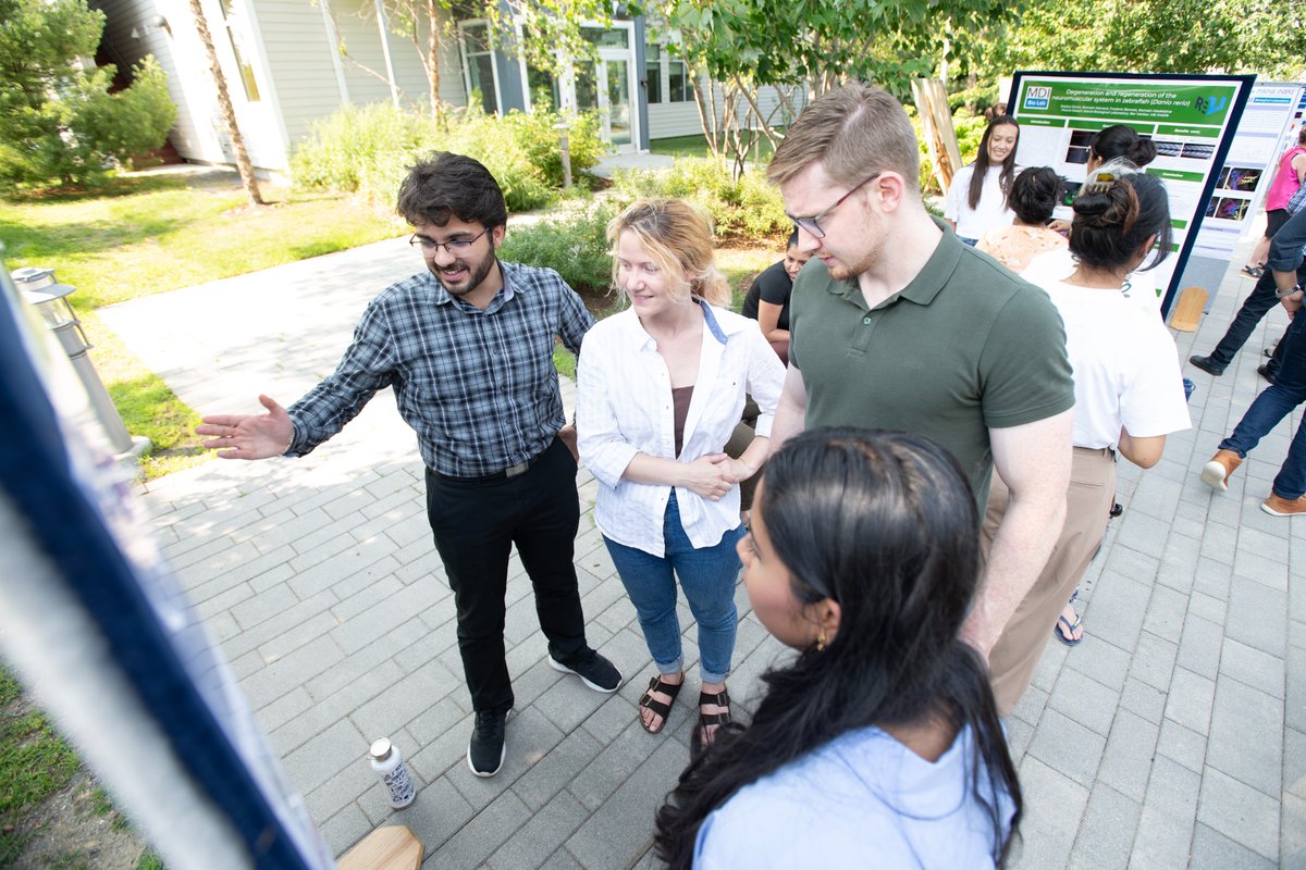 MDI Biological Laboratory’s Summer Undergraduate Research Fellowship (#SURF) program offers a paid #fellowship. With hands-on experience, you will build all the skills needed to be a successful #scientist! Application deadline is Jan 26. 

Apply now! 👉 ow.ly/rqjJ50U9iTS
