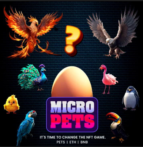 PhysicIVs's tweet photo. @BNBCHAIN @MicroPets_io Building a vibrant ecosystem of NFTs, gaming, and community on @BNBCHAIN 🚀

#BuildOnBNB with $PETS 🔥 https://t.co/WzbbtaLQSZ