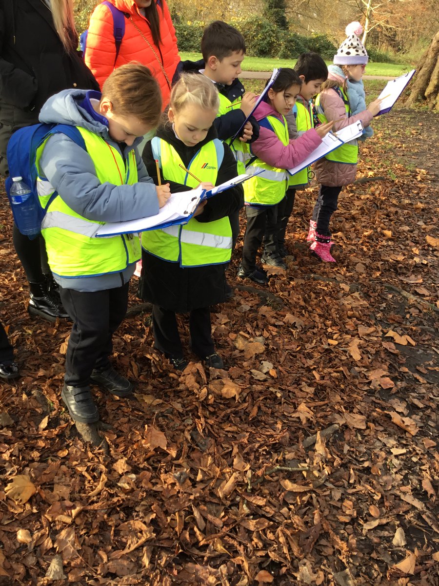 3Lime_woodside tweet media