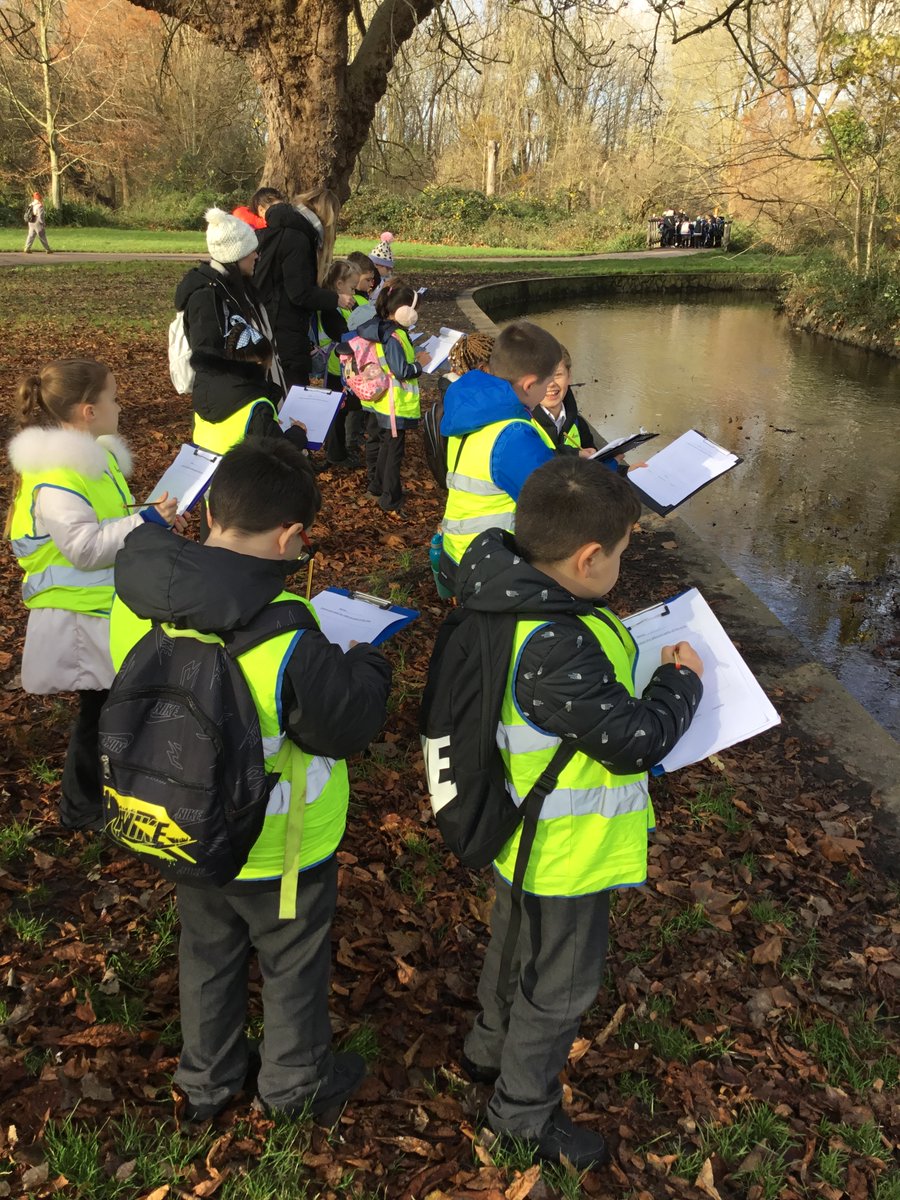 3Lime_woodside tweet media