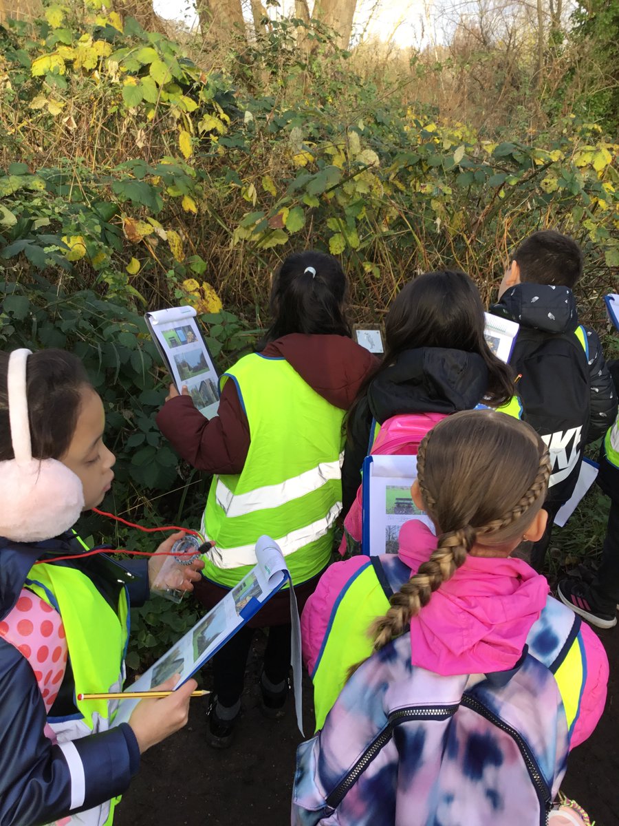 3Lime_woodside tweet media