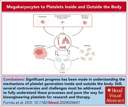 Platelet generation in vivo and in vitro
ow.ly/rkYE50UgF7B #plateletsandthrombopoiesis