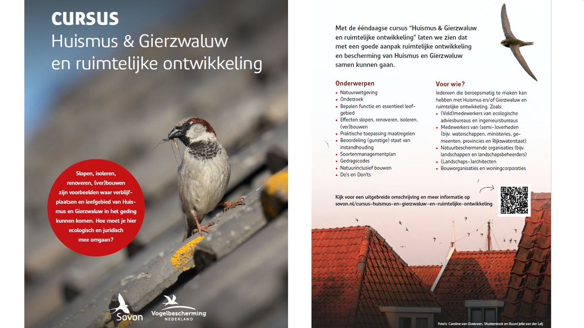 Sovon Vogelonderzoek Nederland (@sovon) on Twitter photo Cursus #Huismus en #Gierzwaluw en ruimtelijke ontwikkeling
Het zijn roerige tijden voor beide soorten. Op 13 februari wordt deze dagcursus gegeven door <a href="/vogelnieuws/">Vogelbescherming NL</a> en <a href="/Sovon/">Sovon Vogelonderzoek Nederland</a> in Zeist. Kijk voor meer informatie en opgave op sovon.nl/cursus-huismus… <a href="/RVO_Nederland/">Rijksdienst voor Ondernemend Nederland</a> <a href="/MinisterieVRO/">Ministerie van VRO</a> Cursus #Huismus en #Gierzwaluw en ruimtelijke ontwikkeling
Het zijn roerige tijden voor beide soorten. Op 13 februari wordt deze dagcursus gegeven door <a href="/vogelnieuws/">Vogelbescherming NL</a> en <a href="/Sovon/">Sovon Vogelonderzoek Nederland</a> in Zeist. Kijk voor meer informatie en opgave op sovon.nl/cursus-huismus… <a href="/RVO_Nederland/">Rijksdienst voor Ondernemend Nederland</a> <a href="/MinisterieVRO/">Ministerie van VRO</a>